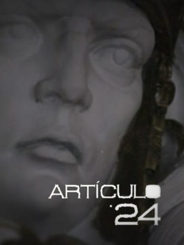 Artículo 24