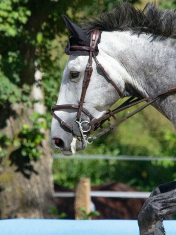 Madrid Horse Week