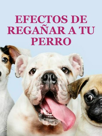 Efectos de regañar a tu perro