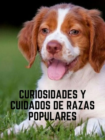 Curiosidades y cuidados de razas populares