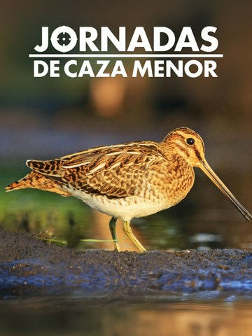 Jornadas de caza menor
