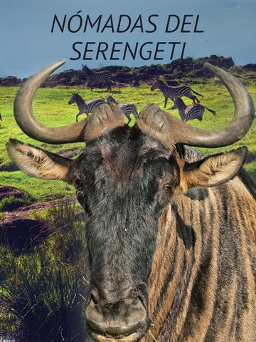 Nomadas del Serengeti