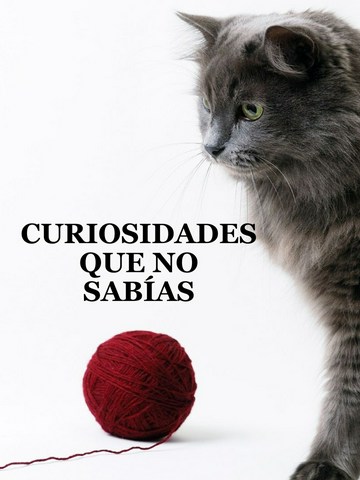 Curiosidades que no sabías