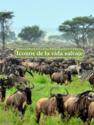 Iconos de la Vida Salvaje