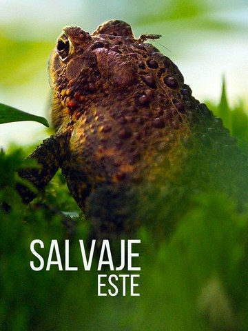 Salvaje Este