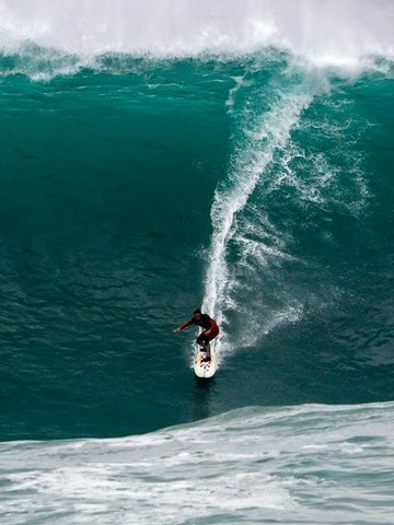 La Vaca Gigante Highlights