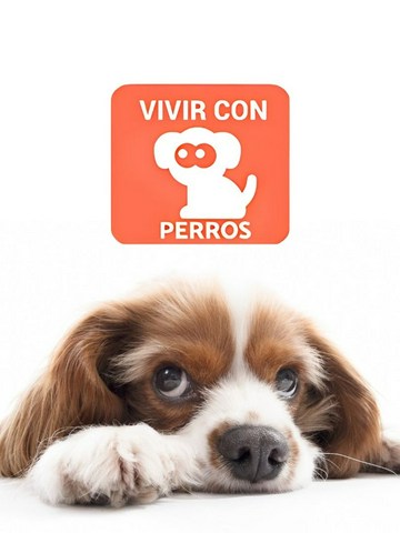 ¿Pueden comer estos alimentos?
