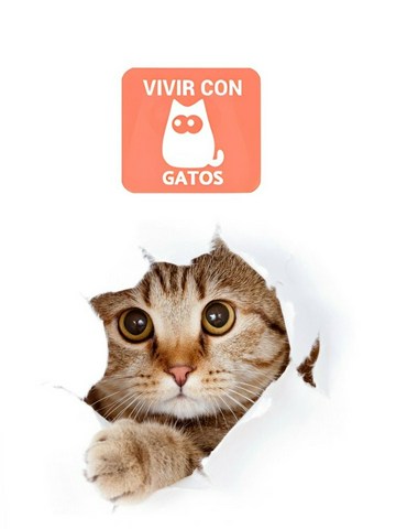 ¿Cúanto sabes de los gatos?