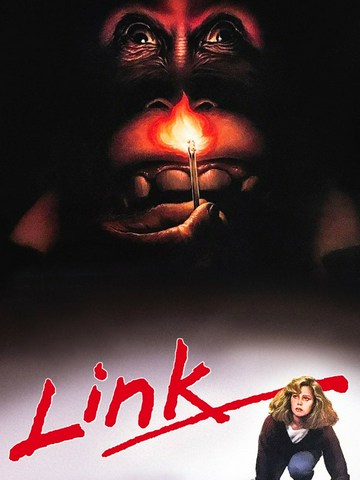 Link